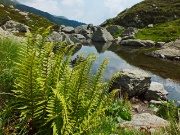 73 Laghetto di Cavizzola quest'anno con acqua ! 